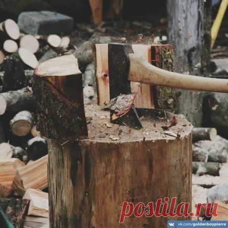 19 жестких «надо», которые ведут вас к успеху, от Дэна Вальдшмидта / Модное Настроение