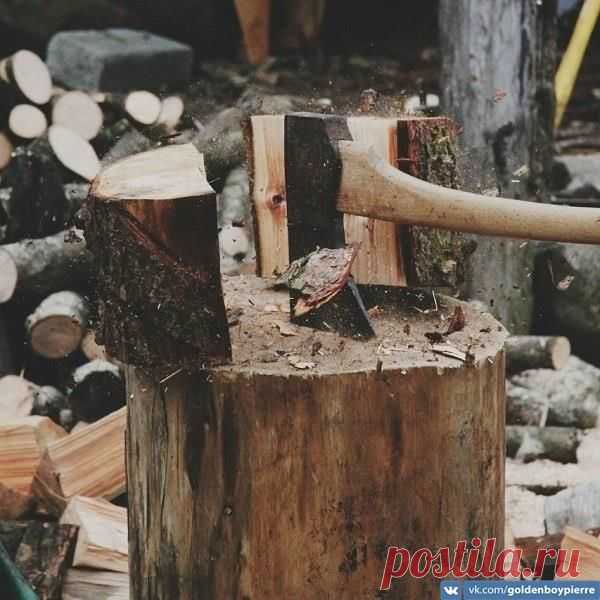 19 жестких «надо», которые ведут вас к успеху, от Дэна Вальдшмидта / Модное Настроение