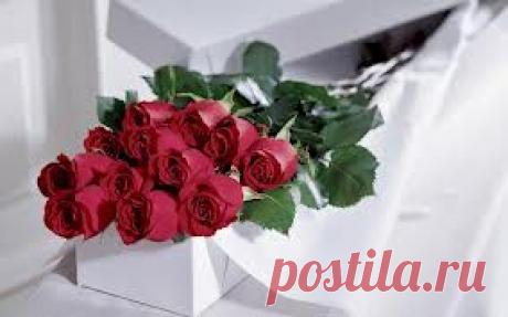 Я поздравляю дам прекрасных
С весенним солнцем, пеньем птиц
И с синевой высокой, ясной.
Пусть украшением Ваших лиц
Послужит нежная улыбка,
Сиянье ласковое глаз.
Пустяк мой дар - всего открытка.
Но, знак, что думаю о Вас!
https://mart.lyubovyudenko.com/