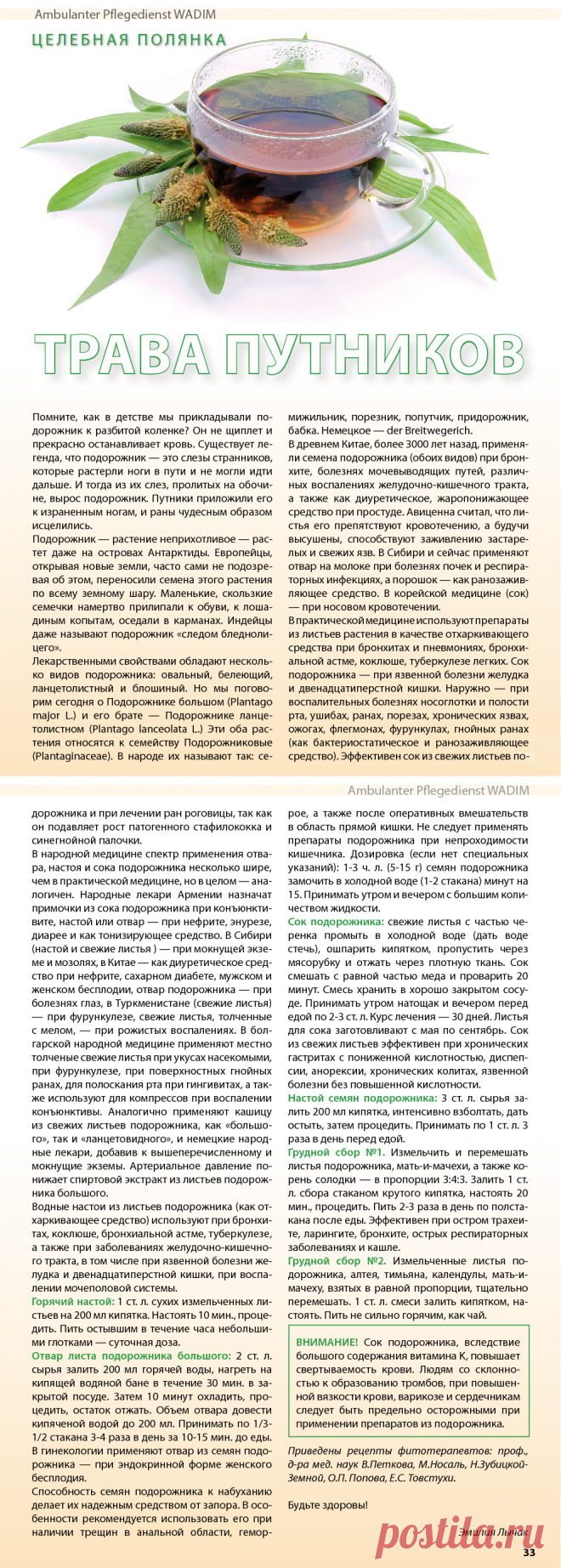 Подорожник