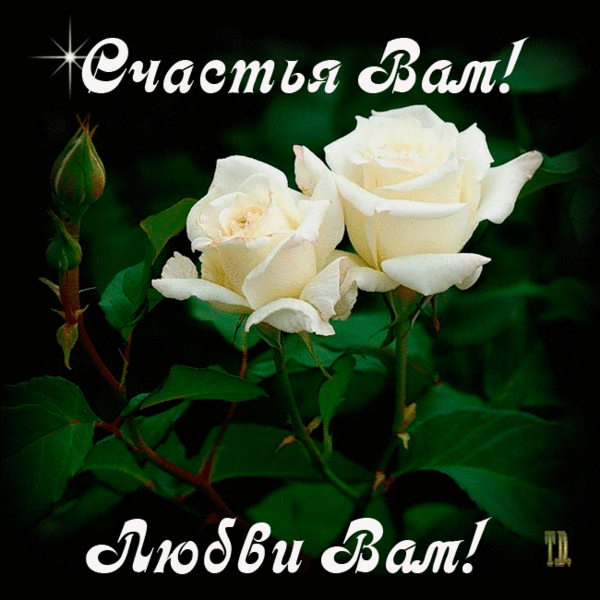 Плейкаст «ДОРОЖИТЕ СЧАСТЬЕМ. ДОРОЖИТЕ!»