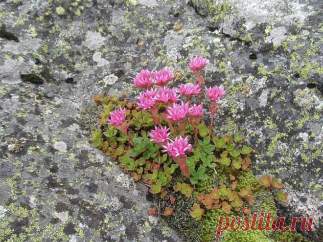 Разноцветные «глаза» Теберды – экспедиция в озерный край | Русское географическое общество