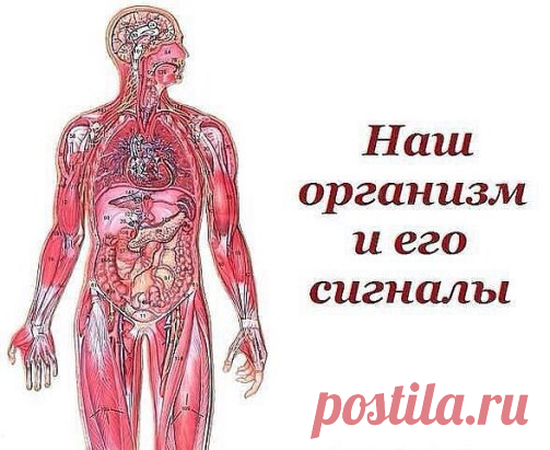 ~~~ Вот такую ПАМЯТКУ надо иметь у себя под рукой всегда, ДеЛюСь ею с вами, уносите себе на странички→↓ ~~~
°•○●Наш организм и его сигналы.●○•°
Врачи уверены, что в нашем организме «вдруг» ничего не бывает. 
И даже малейшие изменения в нашей внешности утром говорят о том, что со здоровьем что-то пошло не так… 
Мало кто из нас подвергается регулярному медосмотру. Но предупредительные сигналы организма о начинающихся неполадках мы можем рассмотреть сами на открытых участках собственного тела.
•