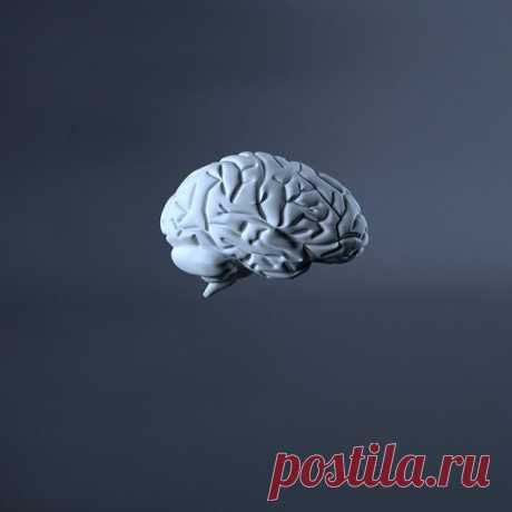 Горе от ума: 6 ошибок мышления, мешающих продуктивно работать — Hopes &amp; Fears — Hopes and fears — поток «Облако знаний»