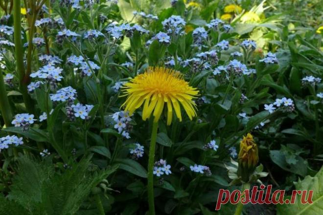 (19) Одноклассники