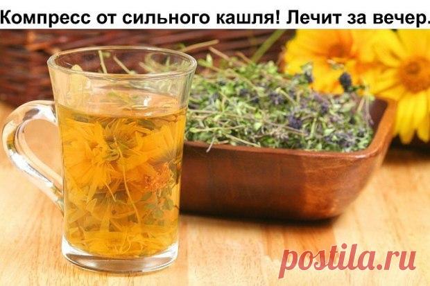 Компресс от сильного кашля! Лечит за вечер. ~ Стихи (Мир души) ~