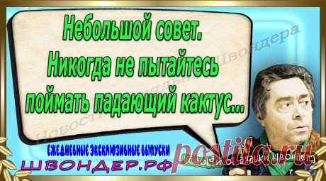 Новости от дядьки Швондера, классный анекдот, смешная фраза, веселая фенечка, каламбур, афоризмы, смех, забавные картинки, сложный юмор, непонятные анекдоты, цитаты из интернета, мэмчик, развлечение, Швондер говорит, Шариков, Собачье сердце, улыбка до ушей, веселый сайт, забава, смешарик, мем, потеха, картинка со смыслом, фарс, наколка, мемасик, шутка, юмор, анекдоты в картинках, юмор в картинках, свежие приколы, Швондер, смешная фишка, улыбка, интересное в сети, смех, швондер.рф, #швондер.рф