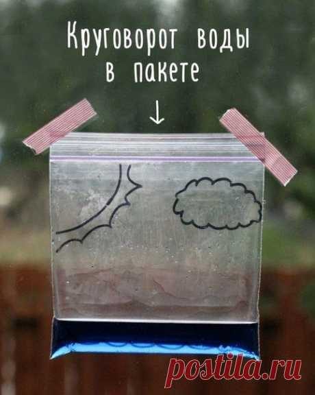 Как сделать так, чтобы дети просто обожали вас? | thePO.ST