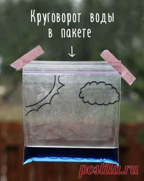 Как сделать так, чтобы дети просто обожали вас? | thePO.ST