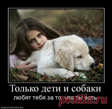 Собаки и дети