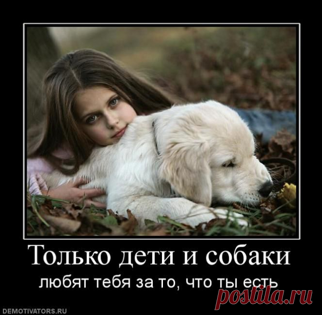 Собаки и дети