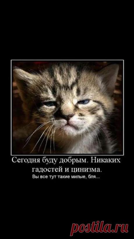 Google+