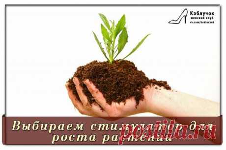 ПОЛЕЗНЫЕ СОВЕТЫ | Записи в рубрике ПОЛЕЗНЫЕ СОВЕТЫ | Дневник NADIABI