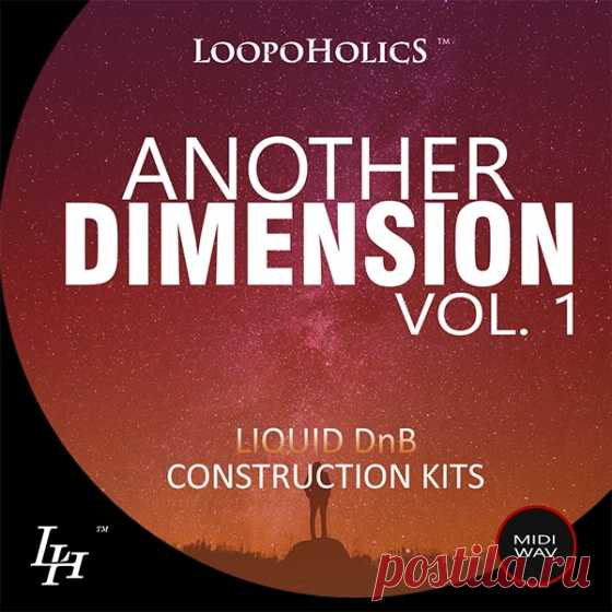 Loopoholics Another Dimension Vol 1 Liquid DnB WAV MiDi  | 344 MB 

'Another Dimension Vol 1: Liquid DnB' starts a brand new series from Loopoholics with this collection of seven fully mixed Construction Kits and 10 bonus loops designed to take your productions to the next level.