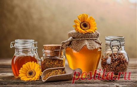 Что такое прополис?.