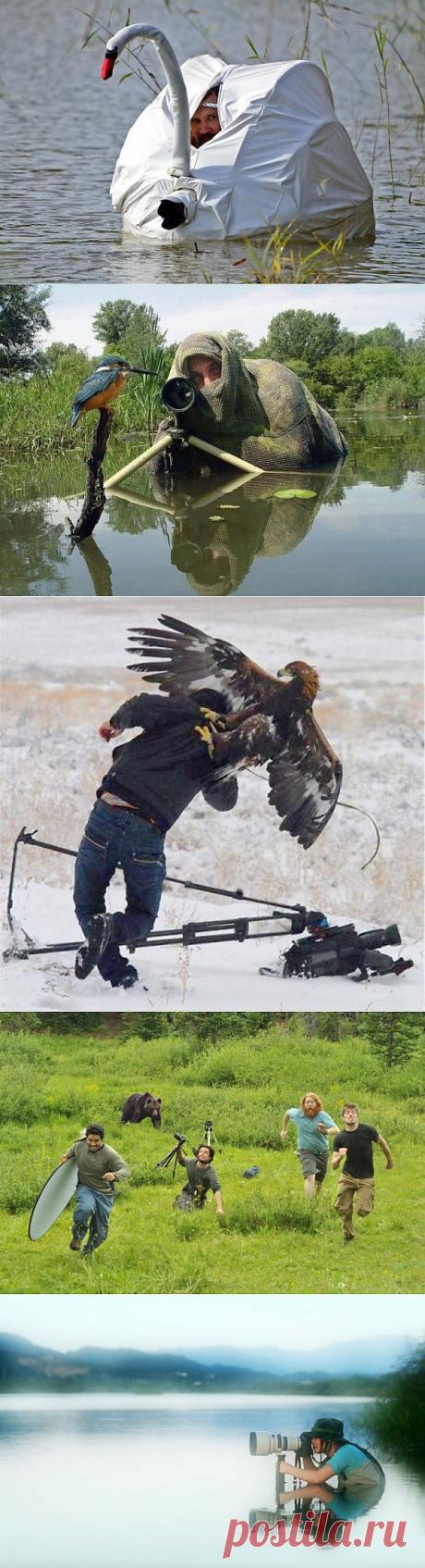 Суровые будни фотографа - Фотограф