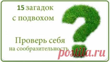 Умняки от mostiks.ru | Сайт для любознательных
