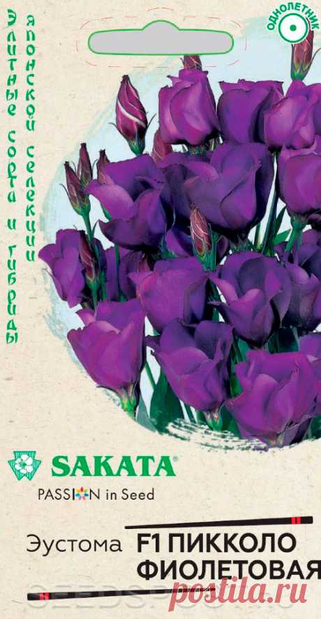 Эустома Пикколо Фиолетовая F1, 5 шт. Sakata, купить в интернет магазине Seedspost.ru