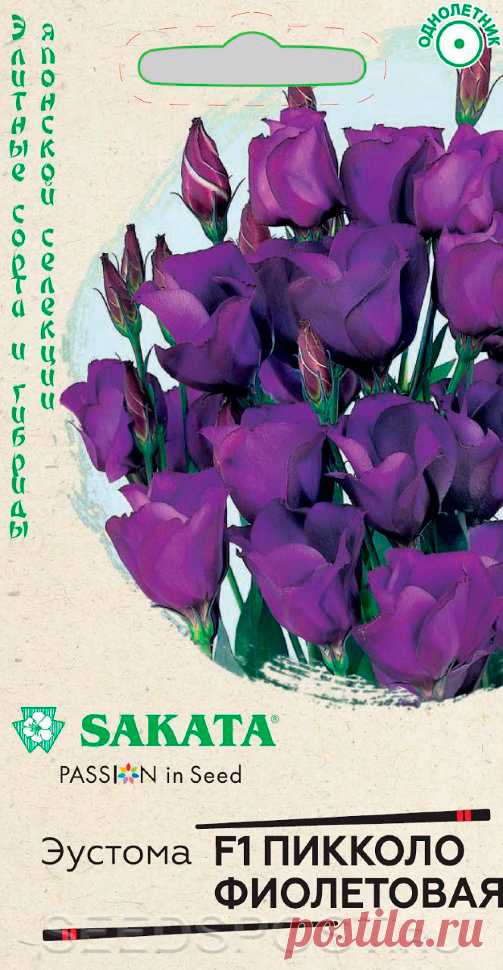 Эустома Пикколо Фиолетовая F1, 5 шт. Sakata, купить в интернет магазине Seedspost.ru