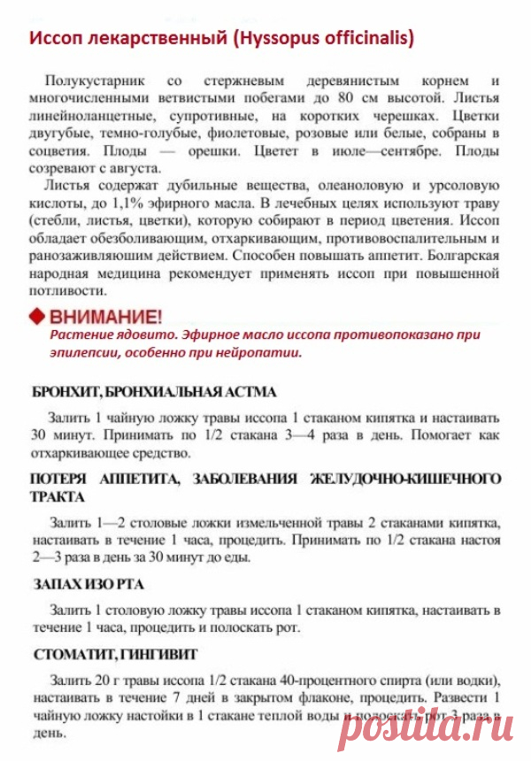 Иссоп лекарственный.
Травник. Золотые рецепты народной медицины. Универсальный справочник. Москва 2007.