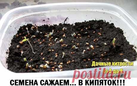 (8) Одноклассники