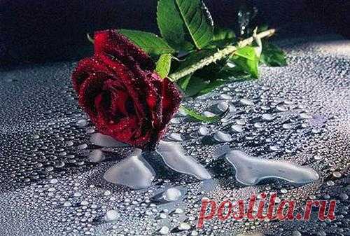 Стихи o любви.