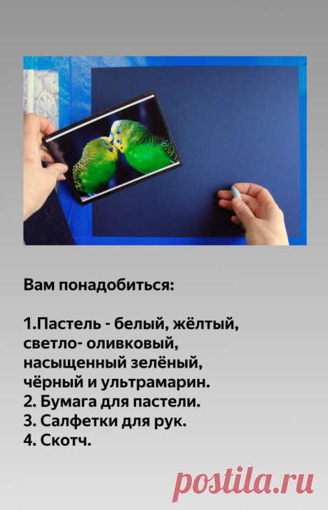 10 уроков пастели для начинающих. Как нарисовать птиц? | Хобби Фани. | Яндекс Дзен