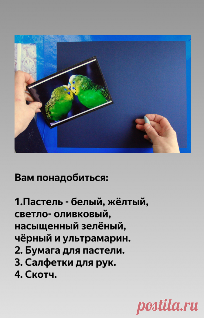 10 уроков пастели для начинающих. Как нарисовать птиц? | Хобби Фани. | Яндекс Дзен