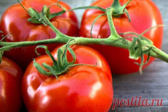 Заливка для помидоров, которая позволяет сохранить вкус овощей 