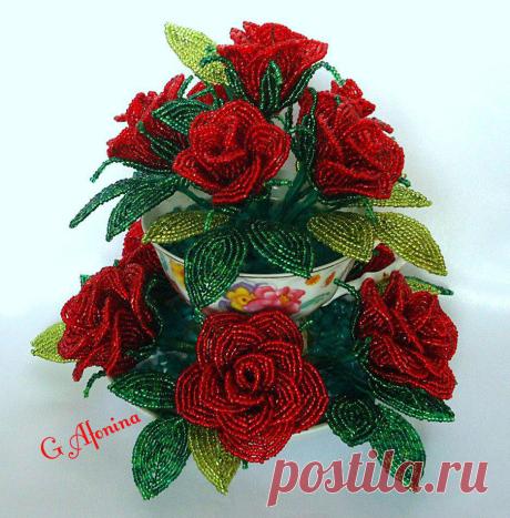 (16) Одноклассники