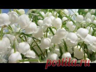 Школа раннего развития