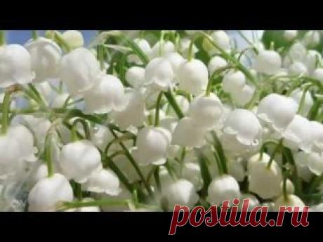 Школа раннего развития