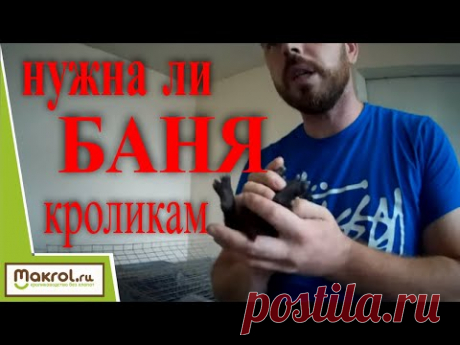 Племенная работа. Крымский кроликовод-миллионер. ЛПХ Кроль-Король. Макляк. Макрол.