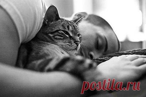 (31) Одноклассники