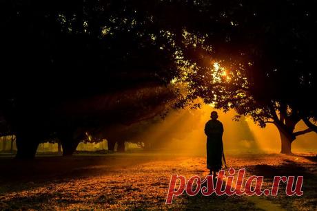 У нас у всех есть возможности о которых мы даже не подозреваем. Мы способны делать то, о чем даже не можем мечтать. Но если вы никогда не решитесь, то никогда не узнаете свой потенциал, свои возможности (Дейл Карнеги).