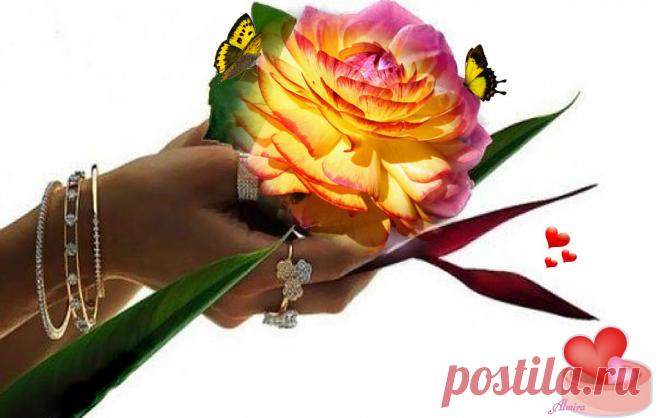 getImage (1024×648)