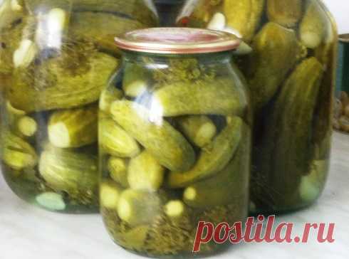Хрустящие огурчики на зиму