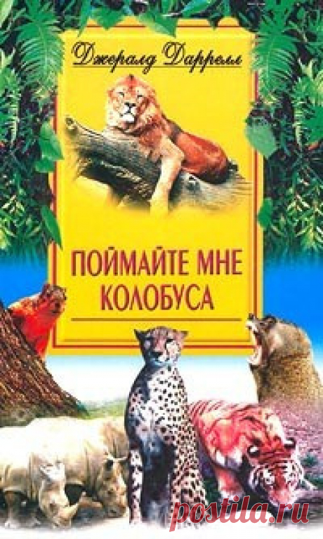 ►▒&quot;Поймайте мне колобуса&quot; Джеральд Даррелл &quot;Эта книга посвящается пяти доблестным сотрудникам Джерсийского зоопарка, которые своим упорным трудом, самоотверженностью и весёлым расположением духа, не покидавшим их даже в самые мрачные и безотрадные минуты, столько раз меня выручали. Без такой надежной опоры я бы недалеко ушёл. Их имена — Кэт Уэллер, Бетти Буазар, Джереми Молинсон, Джон (Шеп) Мэлит и Джон (Долговязый Джон) Хартли.
Книга охватывает около семи лет; мне, подобн...
