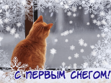 Открытки с первым снегом: бесплатные поздравления
Волшебство первого снега в открытках

Первый снег — это особенное время года, когда природа преображается, а мир вокруг становится похожим на сказку. Красивые открытки с изображением заснеженных пейзажей помогут передать всю прелесть этого момента.