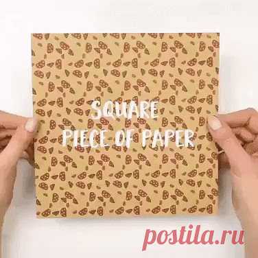 Одноклассники