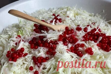 Квашеная капуста с калиной на зиму