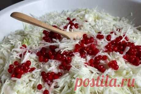 Квашеная капуста с калиной на зиму