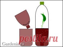 Пластиковый укоренитель для черенка