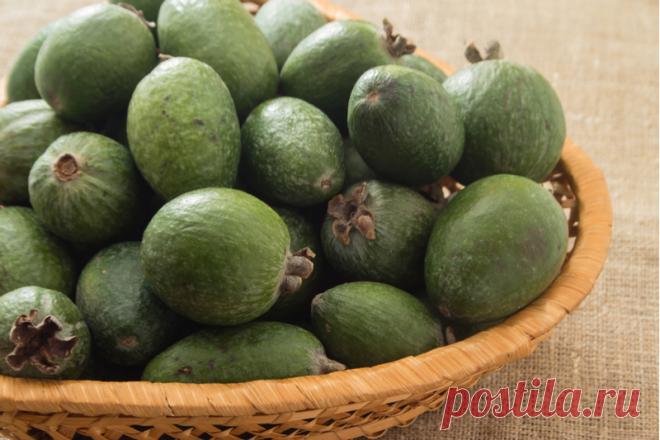 Витаминная бомба: 7 полезных свойств фейхоа, которые переворачивают представление о нём 
В конце ноября в магазинах и на рынках начинает появляться маленький зеленый фрукт — фейхоа. Заботливые хозяйки сметают его с прилавков, чтобы успеть приготовить из него варенье для своих близких. К …