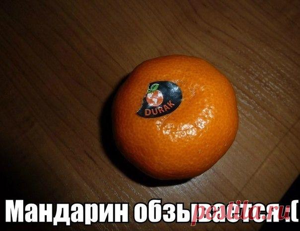 денис рудаков