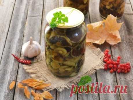 Моховики маринованные