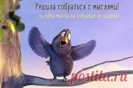 ВСЁ ЛУЧШЕЕ ИЗ YOU TUBЕ