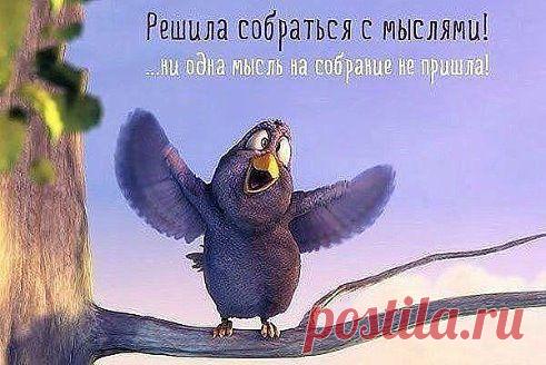 ВСЁ ЛУЧШЕЕ ИЗ YOU TUBЕ