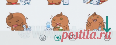 5 обновлений WhatsApp \правда & вымысел\ | Верю-не верю | Яндекс Дзен