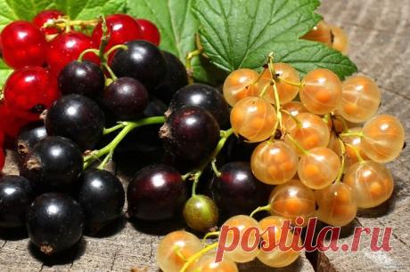 (87) Одноклассники
